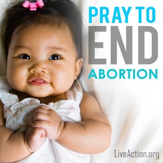 Pray to End Abortion darling photo